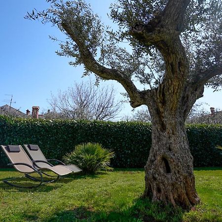 Apartments Palm View Rovinj Luaran gambar