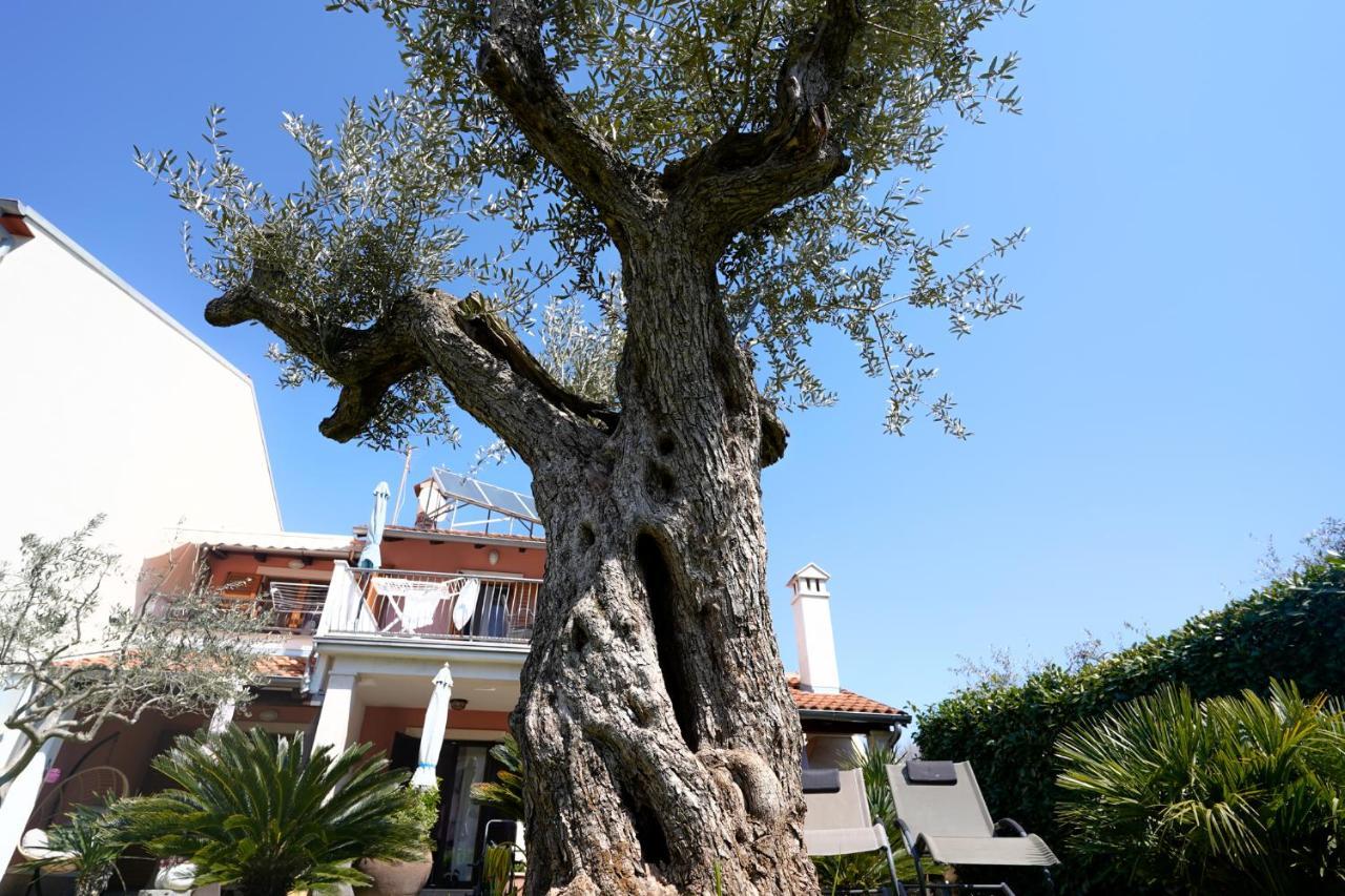 Apartments Palm View Rovinj Luaran gambar