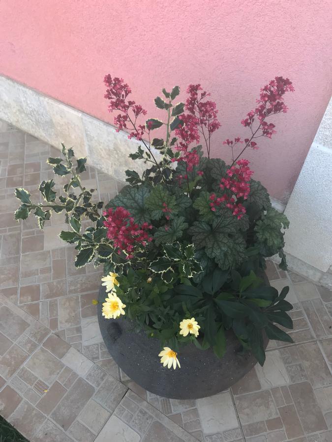 Apartments Palm View Rovinj Luaran gambar